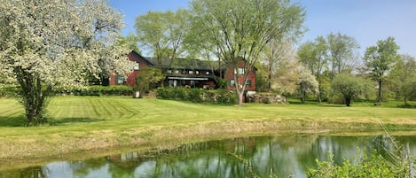 Backyard with pond