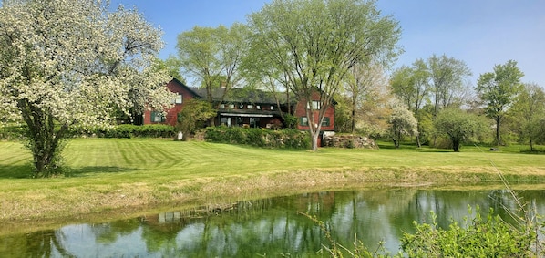 Backyard with pond