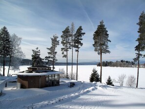 Baum, Winter, Ast, Schnee, Einfrieren, Bergstation, Lärche, Immergrün, Blockhaus