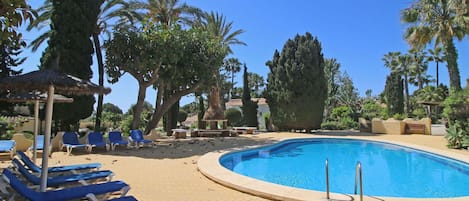 Water, Sky, Property, Plant, Azure, Tree, Blue, Shade, Botany, Swimming Pool