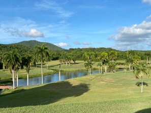 Lush and tropical grounds of Carambola