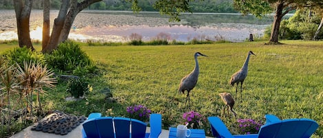 Sandy Lakes East View