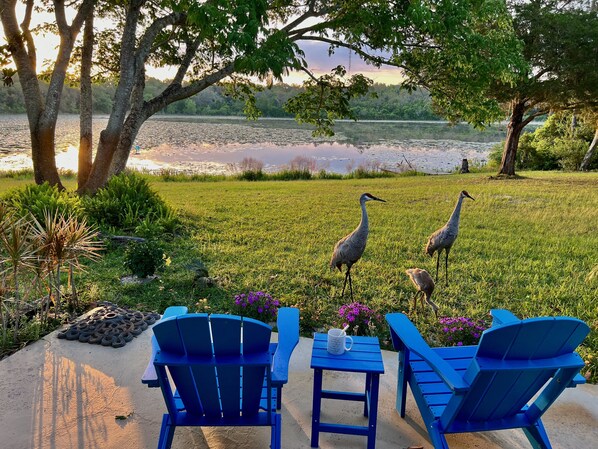 Sandy Lakes East View