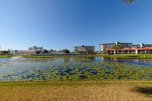 Pond views right out your back door