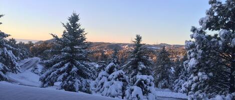 View from back deck / dinning room / living room
