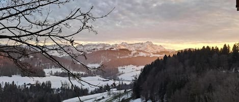 Terrain de l’hébergement 