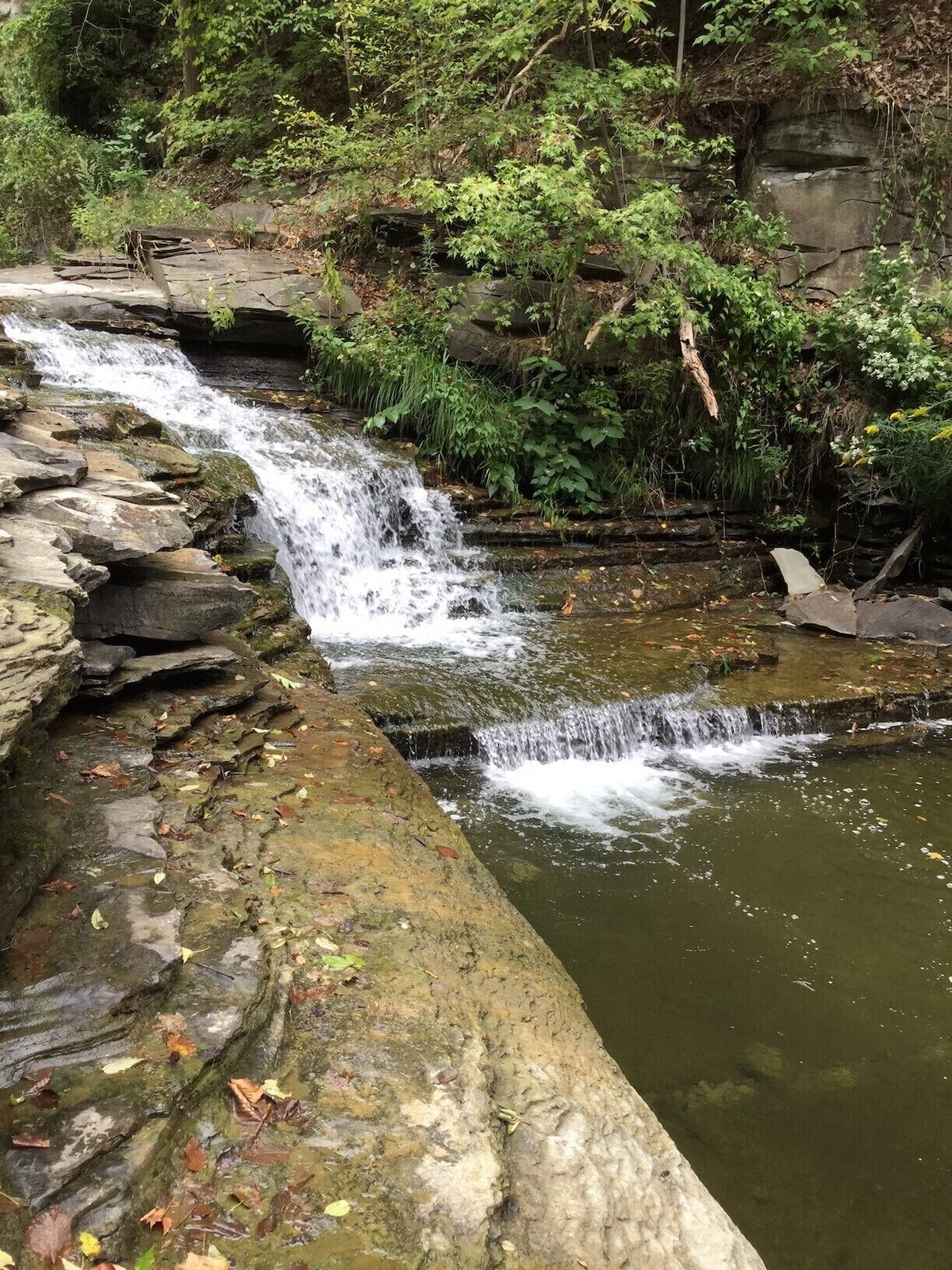 Hemlock Hideaway Cabin with waterfalls, walking trails