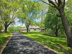 blacktop driveway (shared)