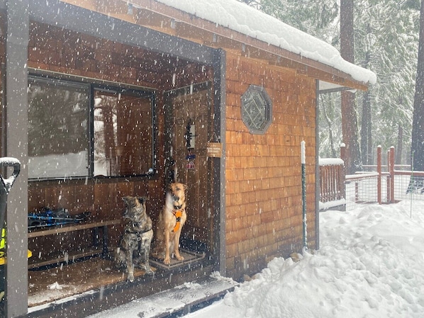 The unofficial hosts of our cabin in the woods...
We hope you love staying at 2 Dog Lodge as much as these pups do!
2 Dog Lodge is your perfect spot to have adventures and make memories.