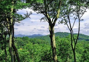 Breathtaking view from the porch swing on the rear porch.