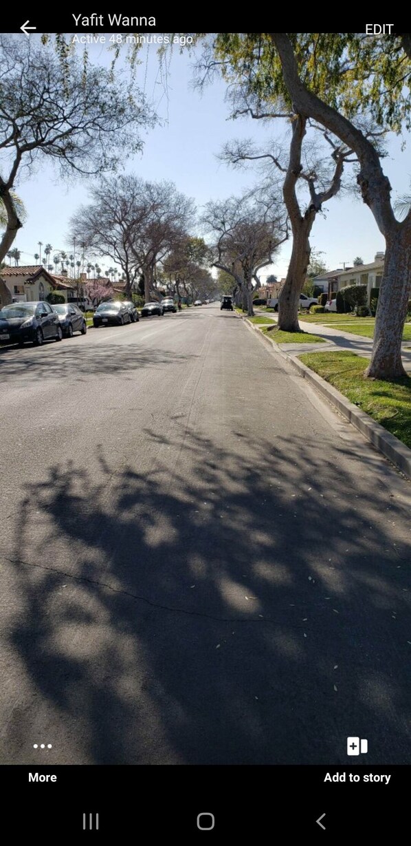 Property grounds