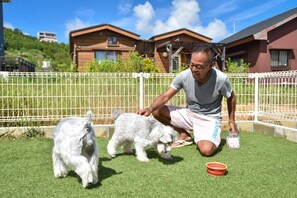 Pets allowed! There is also a garden where pets can play