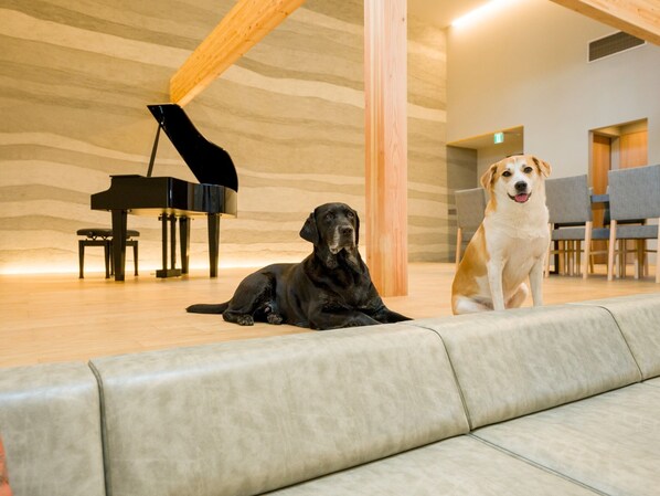 [Going out with your dog/Building A] Pet-friendly rooms can be used with dogs