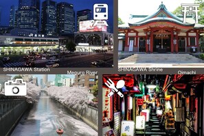 Miscellaneous
