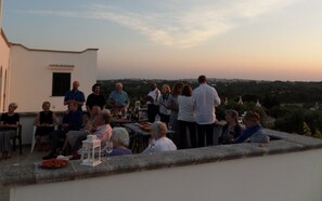 Magnificent views from the top terrace.