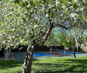 Sportplatz