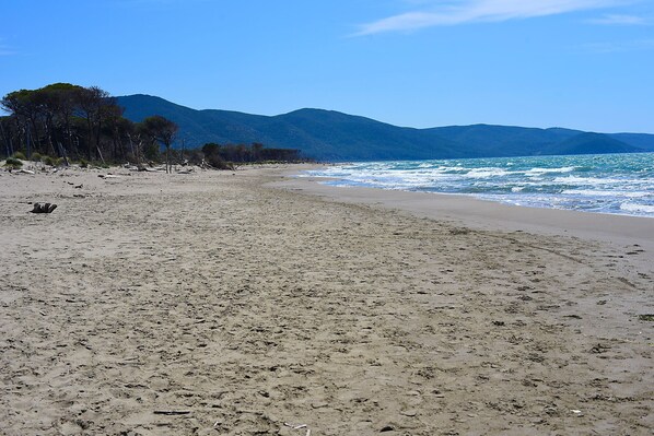 Strand