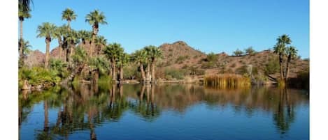 The beautiful park and pond across the street.