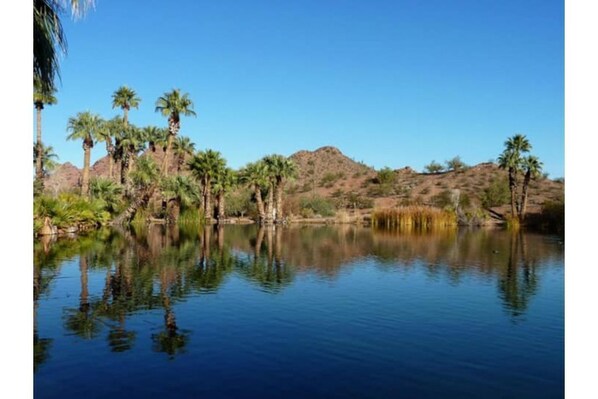 The beautiful park and pond across the street.