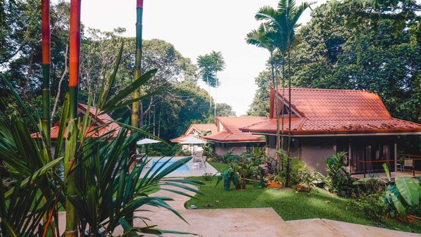 Private jungle oasis. You have access to the entire property