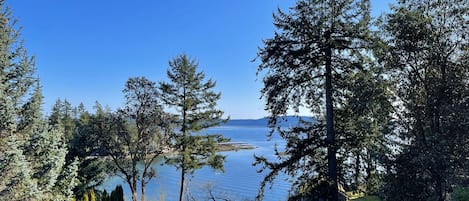 View from the deck.