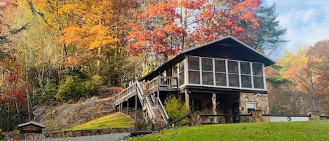 Fall leaf change