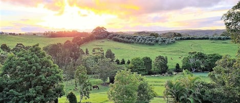 Terrain de l’hébergement 