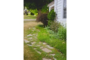 Pathway leading around the side of the house