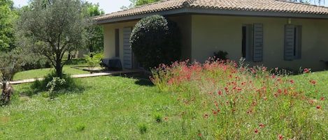 maison sur grand terrain arboré