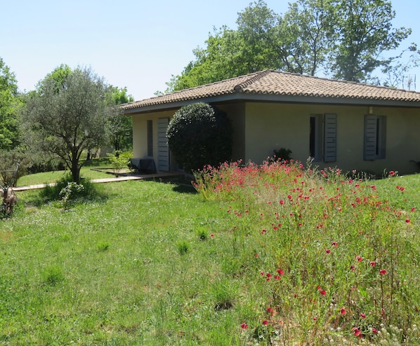 maison sur grand terrain arboré