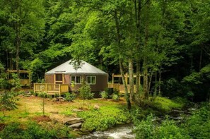 Fall asleep to the soothing rhythm of a mountain creek just steps from your door.