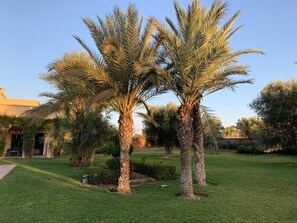 Property grounds