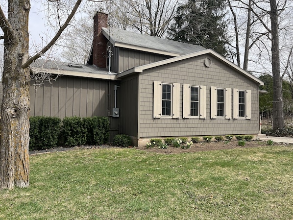 Front, early spring