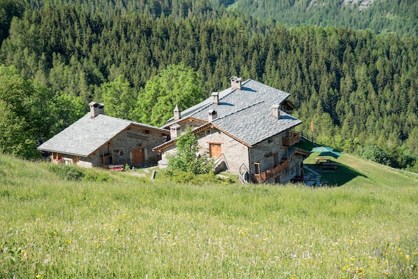 Exterior