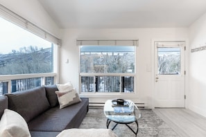 Living room with lots of natural light
