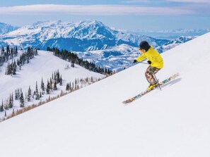 Winter or Summer- there's 6 Ski Resorts in <1 hour from this location! 