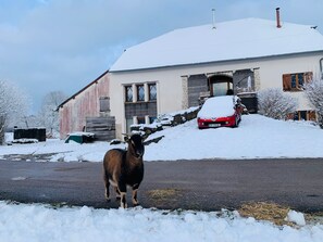 Exteriör
