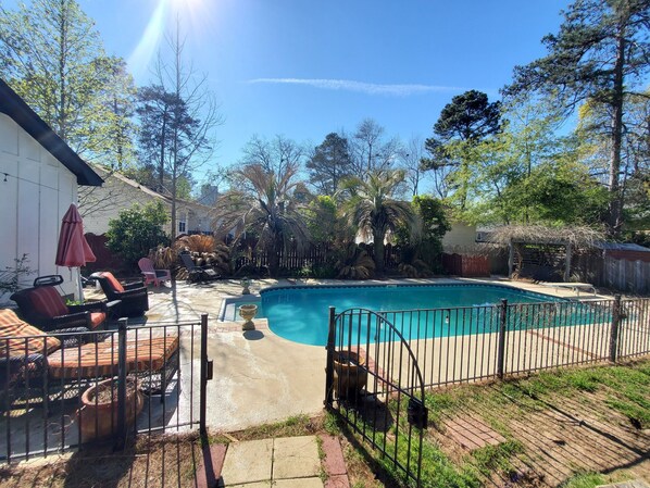 Backyard pool