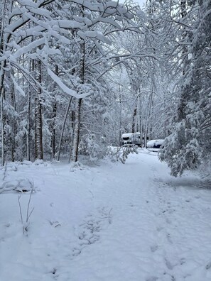 Wintersport/Ski