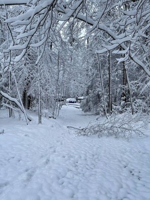 Wintersport/Ski