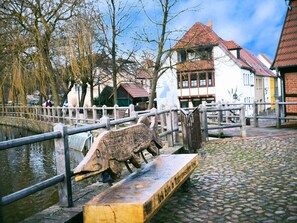 Blick vom MĂŒhlenteich auf das Haus