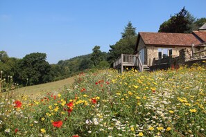 Wonderful views from the Byre over the valley 