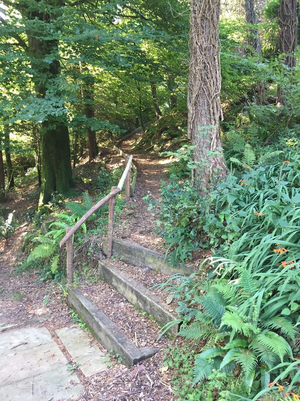 Property grounds