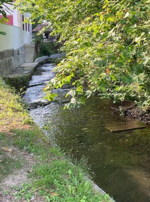 Latsa river that runs through Espelette