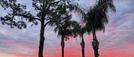 Sunrise on Lake Dora