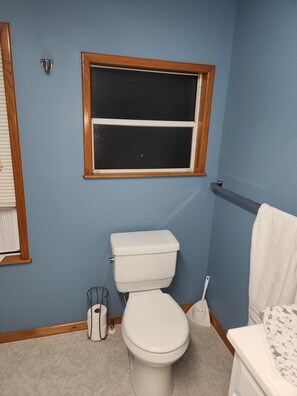 Master bath toilet