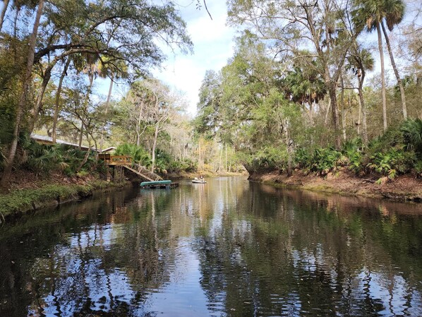 Looking upriver from the floating dock.