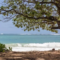 Affordable Beachfront Property