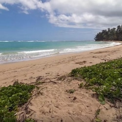 Kekela Beach- Private Beachfront with No Public Access or Resort Crowds