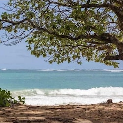 Beach from the yard